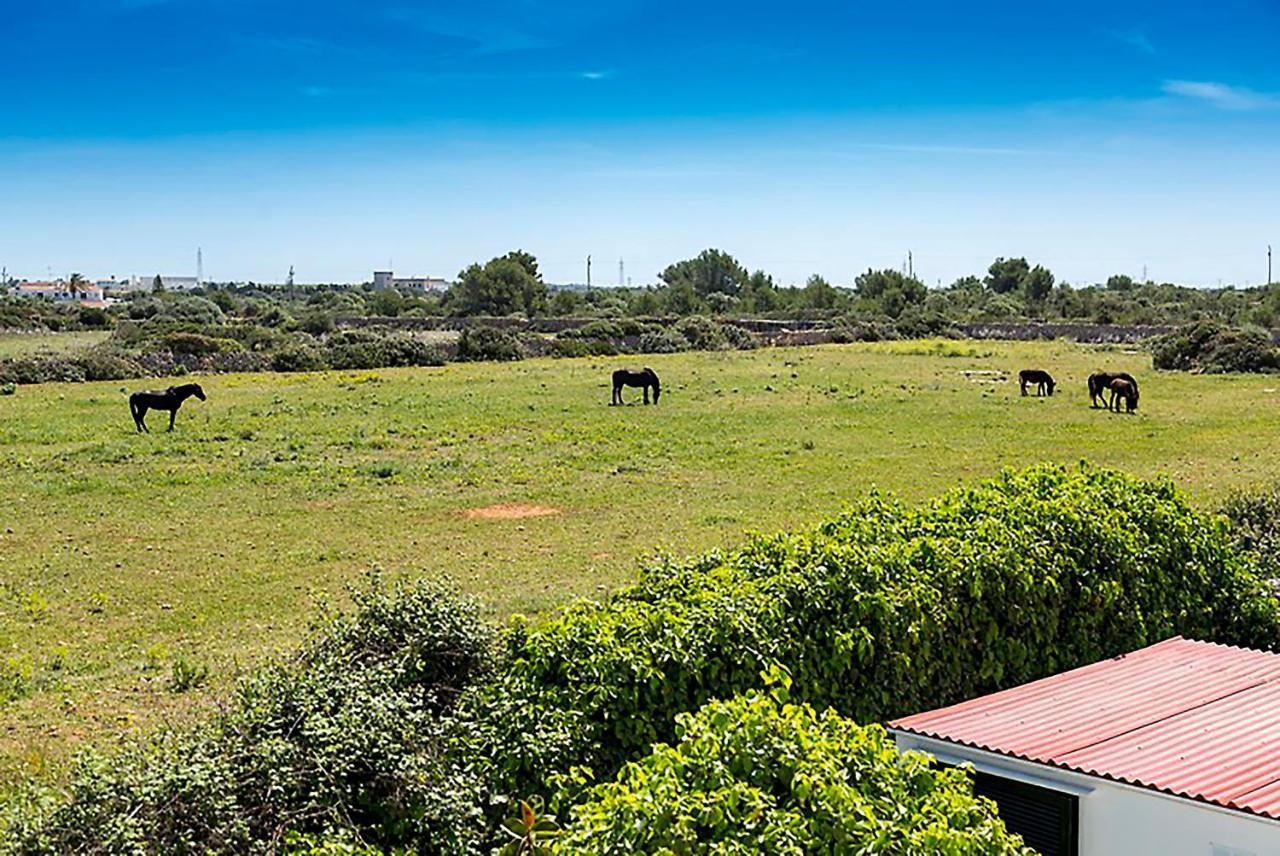 Casas Menorquinas Lägenhet Cala Blanca  Exteriör bild